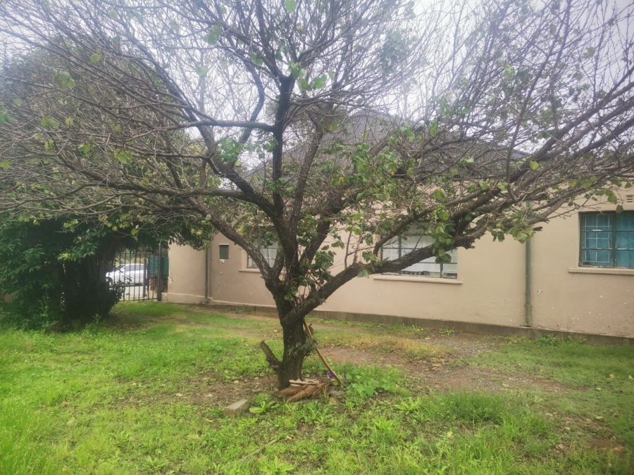 3 Bedroom Property for Sale in Senekal Free State
